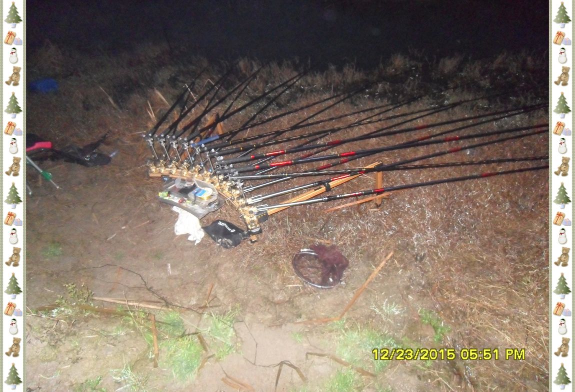 SDC18109.jpg