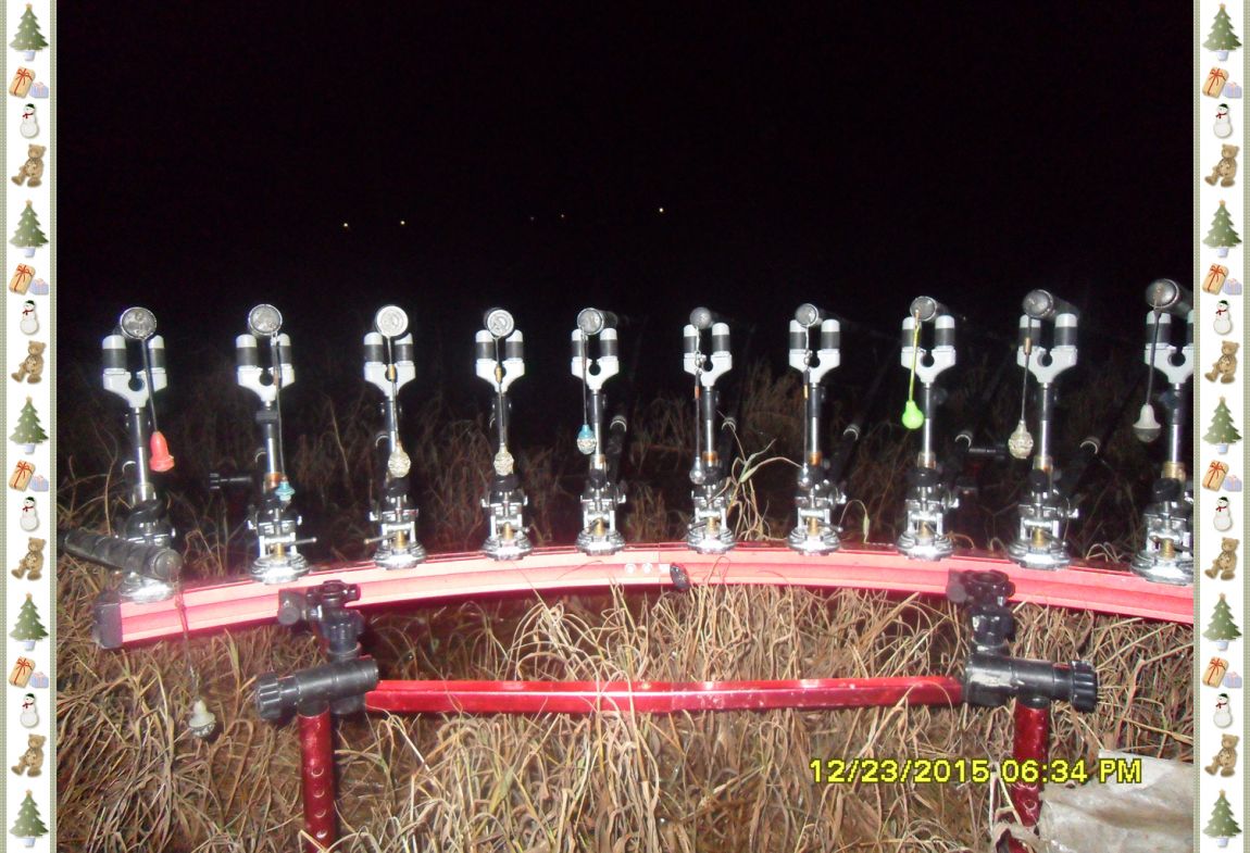 SDC18119.jpg