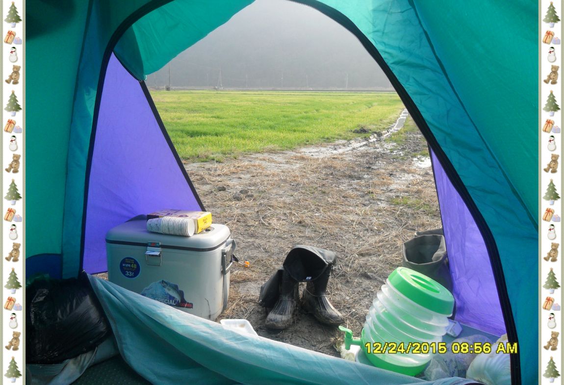 SDC18113.jpg