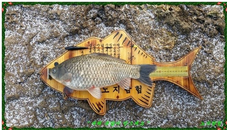 2015-12-28 16;20;02.jpg