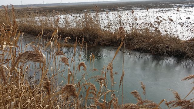 20160101_124144.jpg