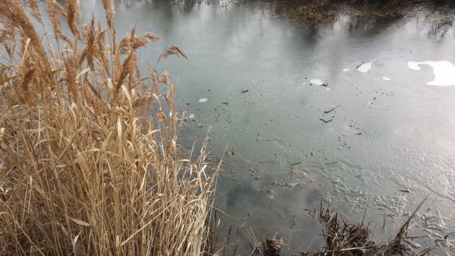 20160101_124155.jpg