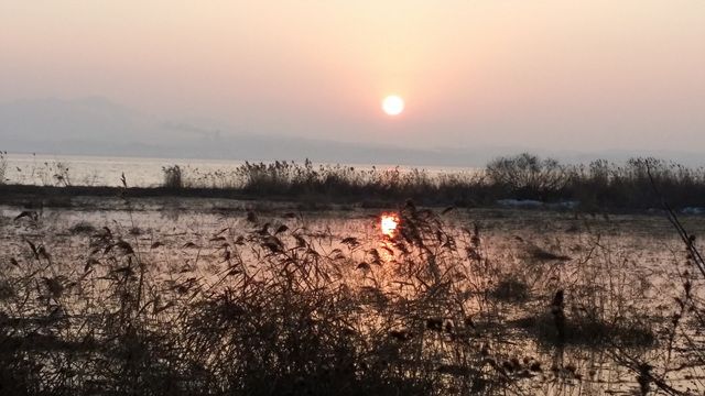 20160102_080012.jpg