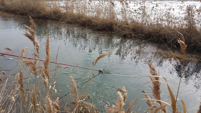 20160101_124209.jpg