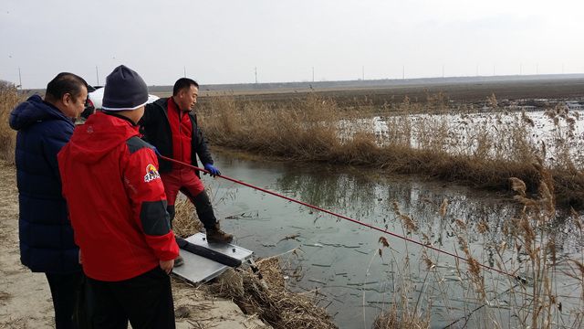 20160101_124219.jpg