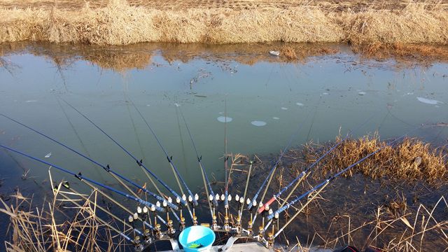 20160101_104440.jpg
