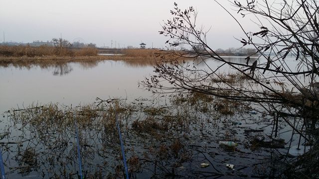 20160102_075323.jpg