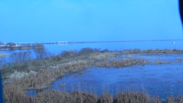 P1090230.jpg