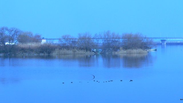 P1090244.jpg