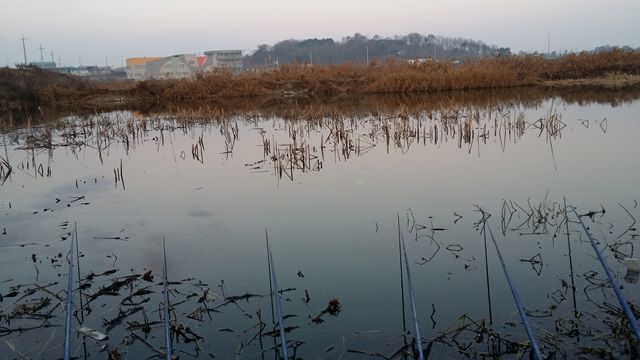 20160102_075335.jpg