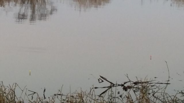 20160102_075418.jpg