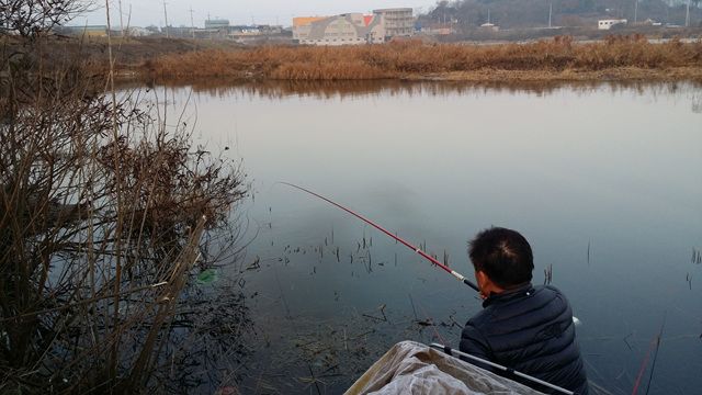 20160102_080055.jpg