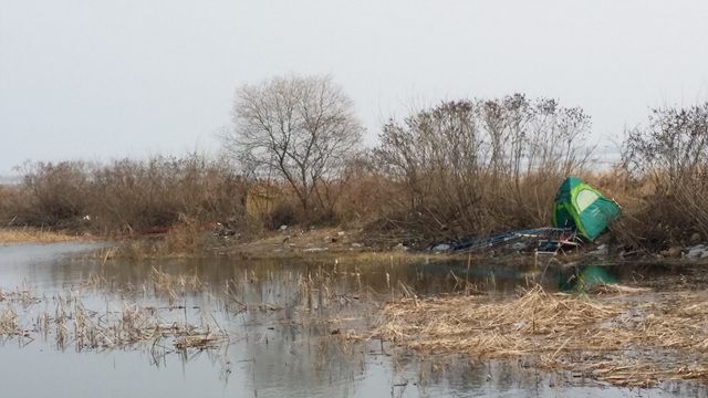 20160102_125622.jpg