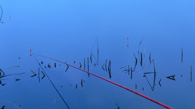 P1090245.jpg