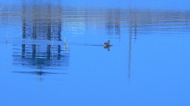 P1090248.jpg
