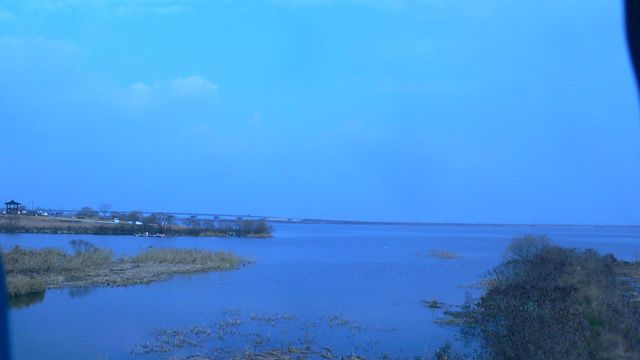 P1090269.jpg