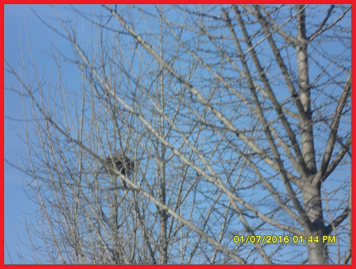 SDC18351.jpg