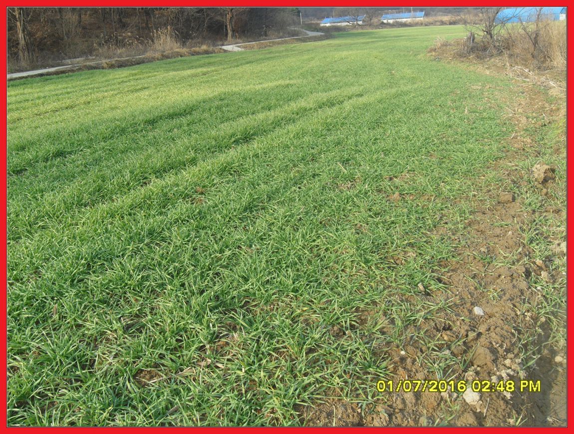 SDC18363.jpg