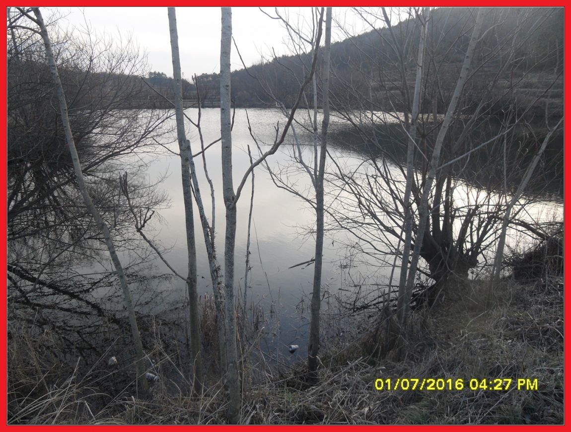 SDC18379.jpg