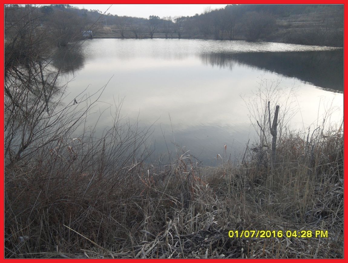 SDC18380.jpg
