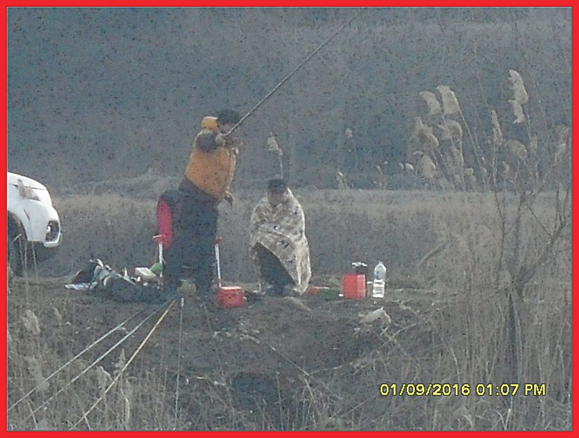 SDC18383.jpg