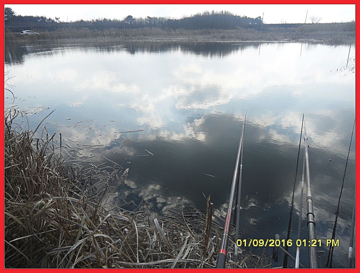 SDC18387.jpg