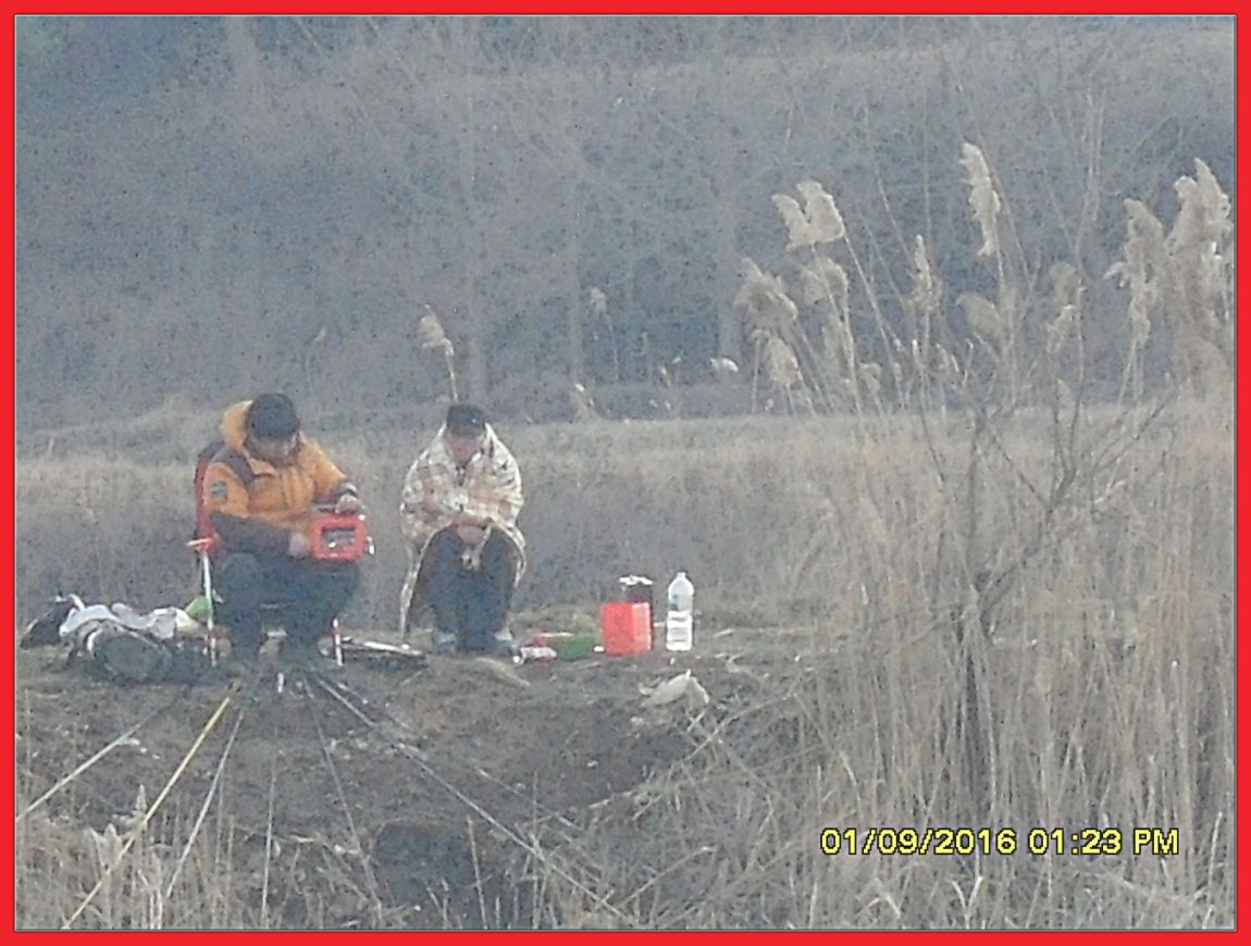 SDC18388.jpg