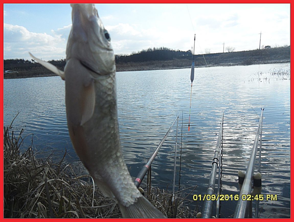 SDC18398.jpg