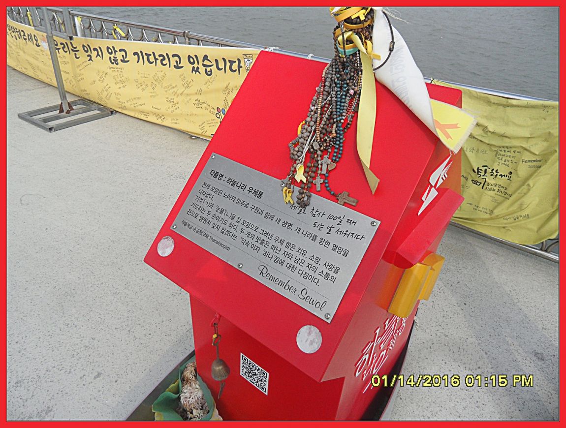 SDC18546.jpg