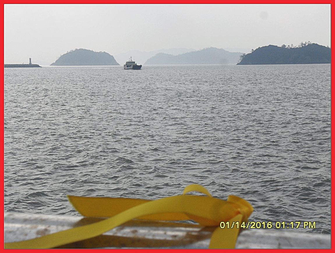 SDC18551.jpg