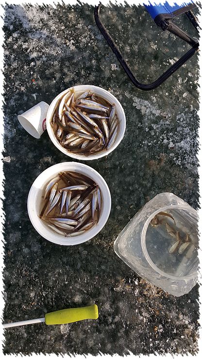 20160121_144810.jpg