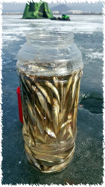 20160121_144922.jpg