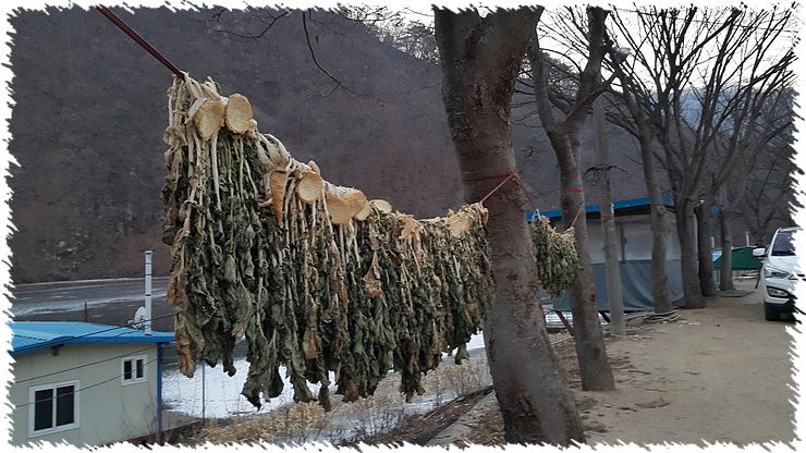 20160121_174322.jpg