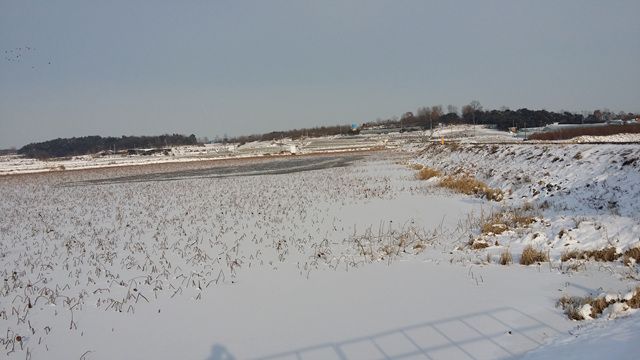 20160120_154714.jpg