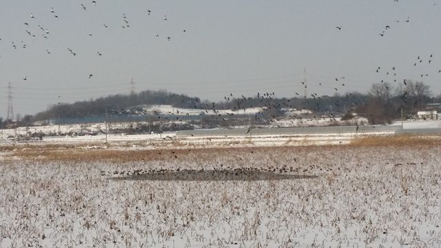20160120_154708.jpg