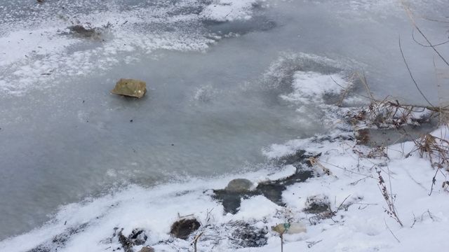 20160120_162802.jpg