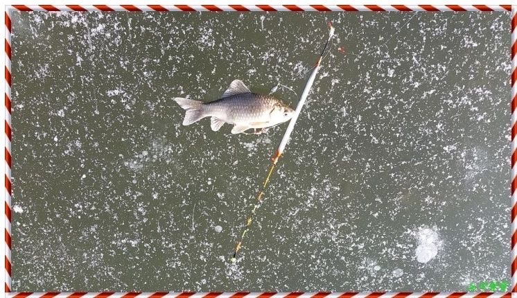 2016-01-25 16;59;27.jpg