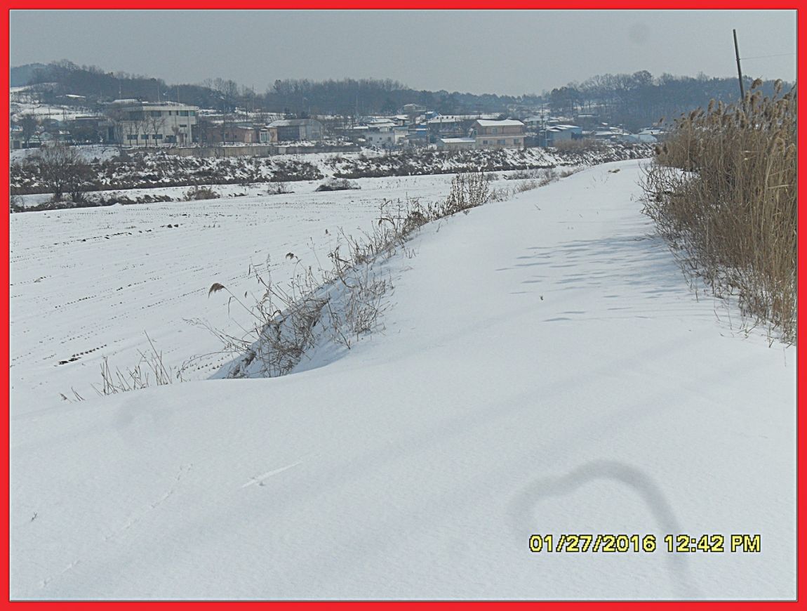 SDC18752.jpg