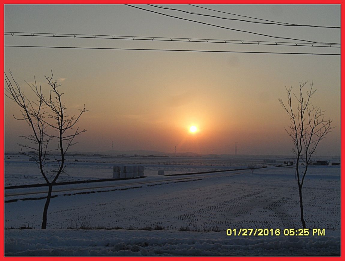 SDC18758.jpg