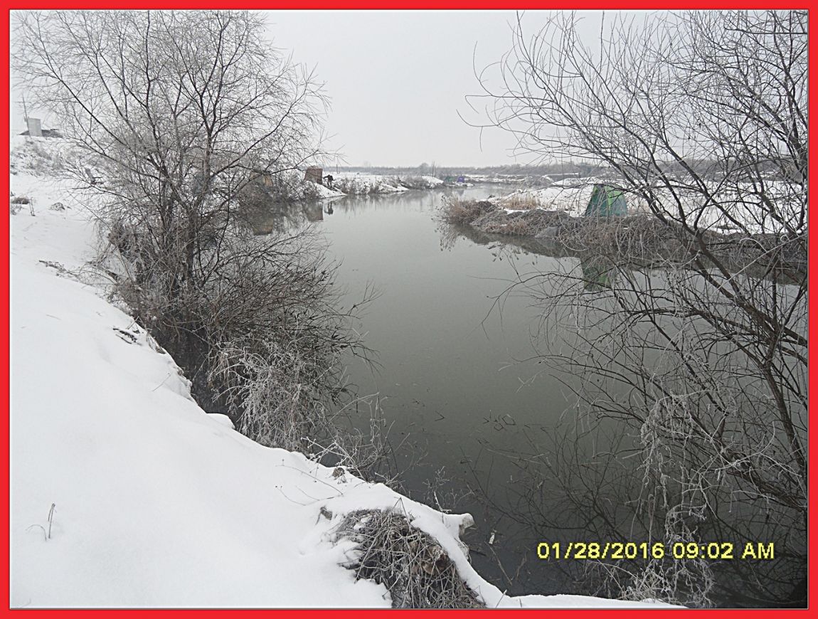 SDC18763.jpg