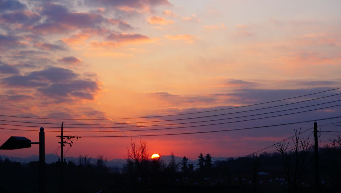 DSC01223.JPG