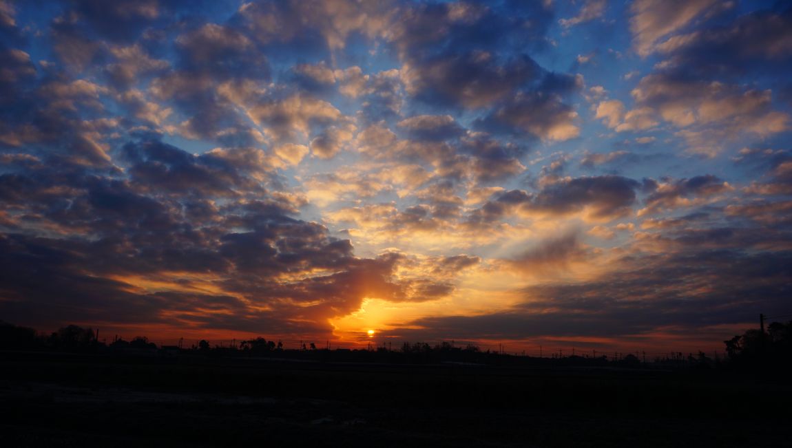 DSC01229.JPG