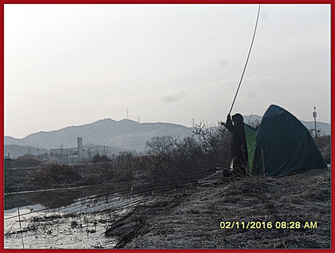 SDC18967.jpg