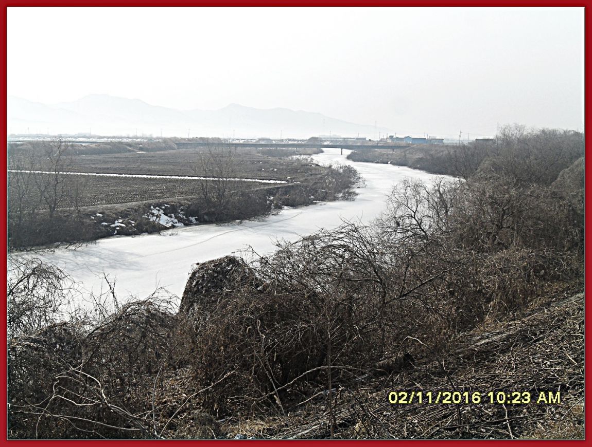 SDC18973.jpg
