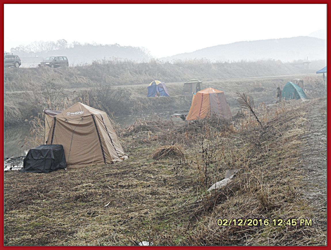 SDC18985.jpg