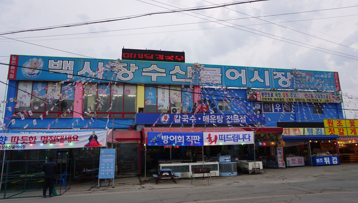 DSC01335.JPG