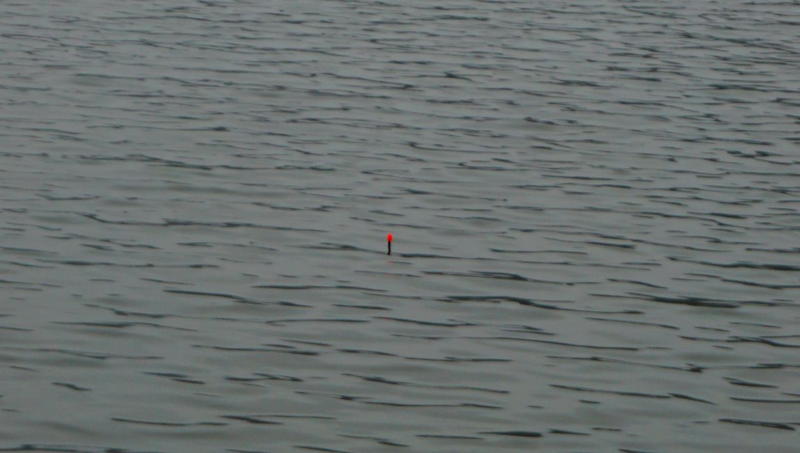 DSC01426.JPG