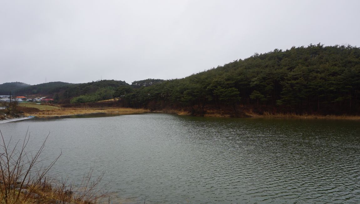 DSC01436.JPG
