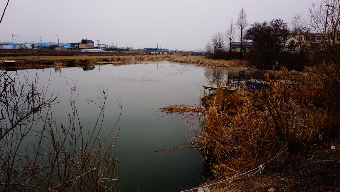 DSC01728.JPG