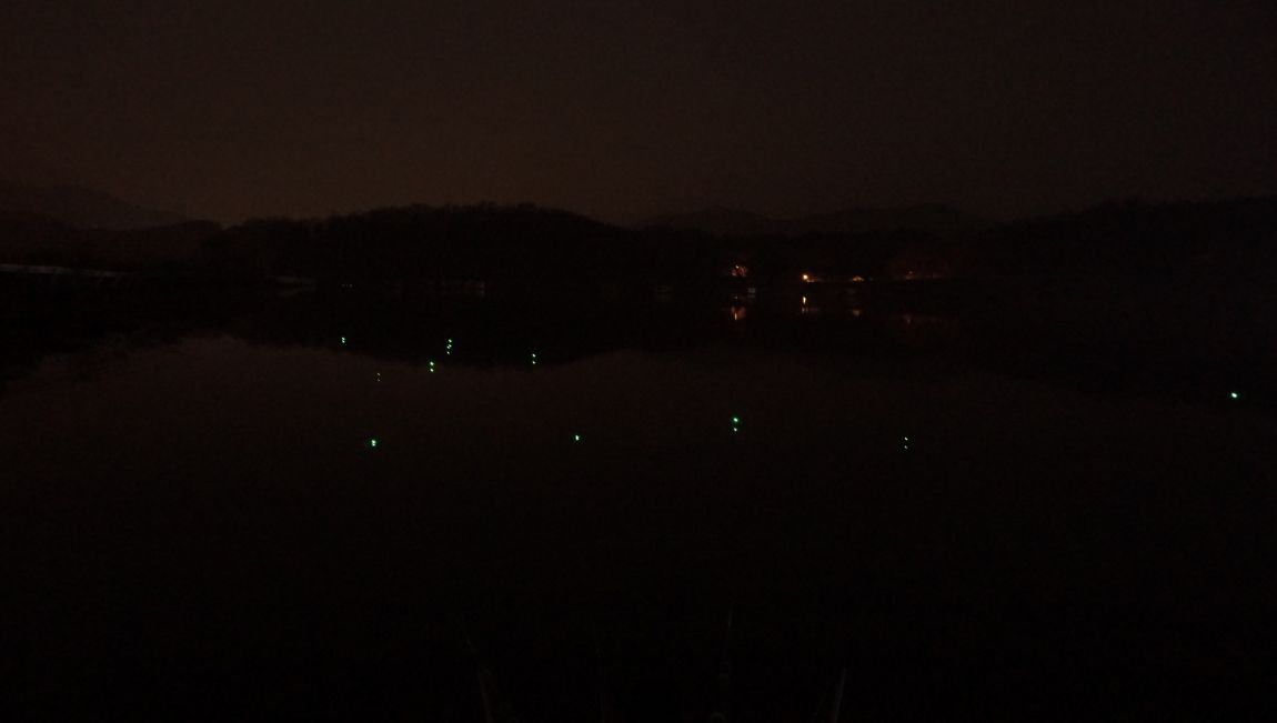 DSC01831.JPG